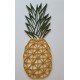 Ananas duvar heykeli 2D T3286894